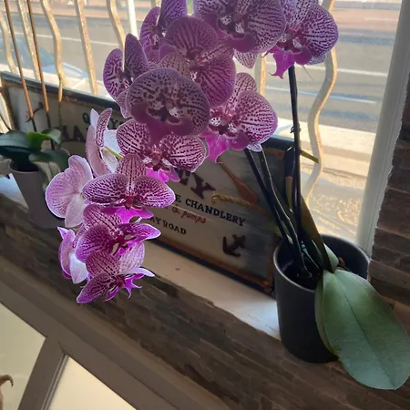 Appartamento O Phare Du Cros *