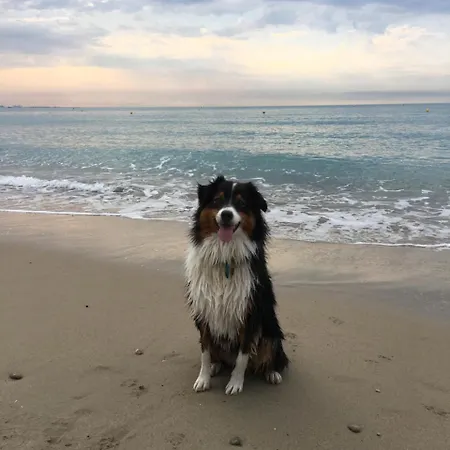 O Phare Du Cros شقة